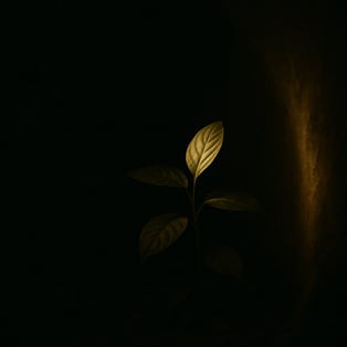 hidden garden2